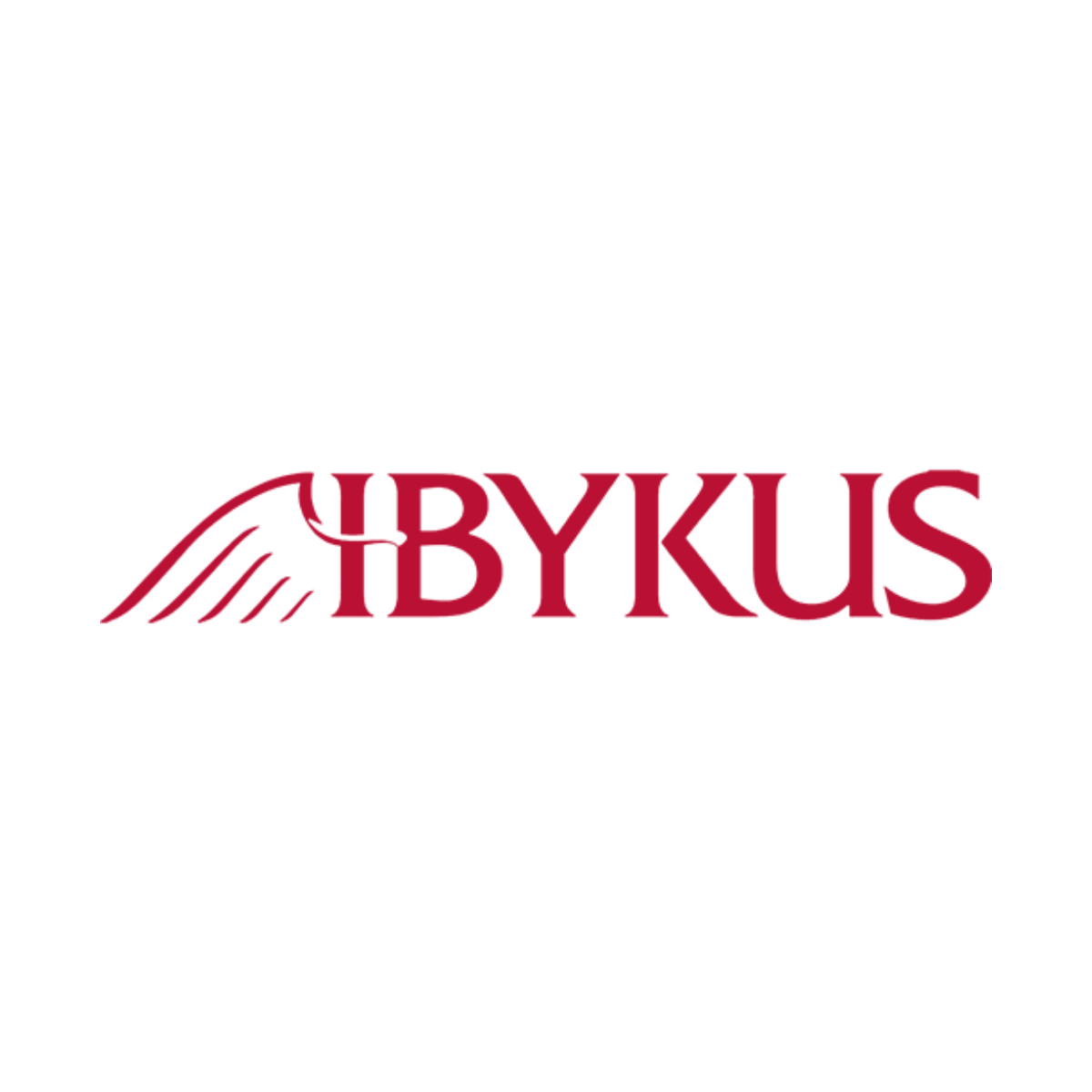 IBYKUS AG für Informationstechnologie