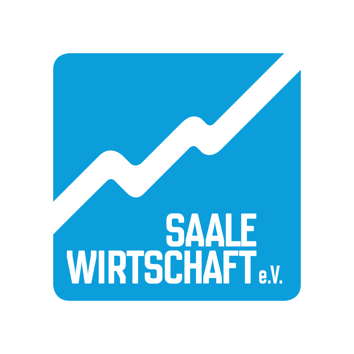 SaaleWirtschaft e. V.